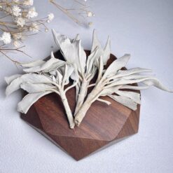 白鼠尾草(5g)