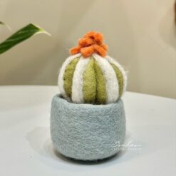 尼泊爾手工羊毛氈娃娃｜緋牡丹仙人掌
